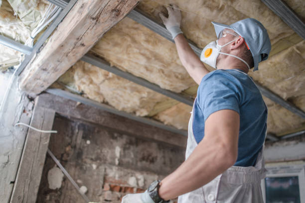 Best Blown-in Insulation in Ridgewood, IL