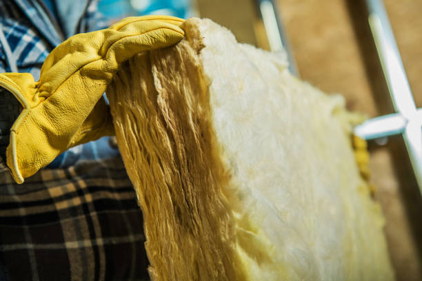 Best Insulation Maintenance and Repair in Ridgewood, IL