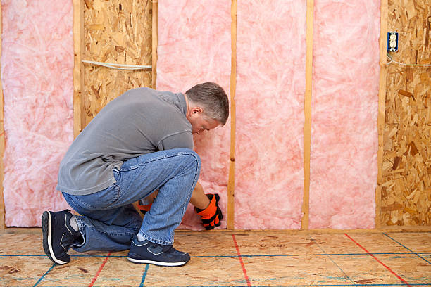 Best Specialized Insulation Services in Ridgewood, IL