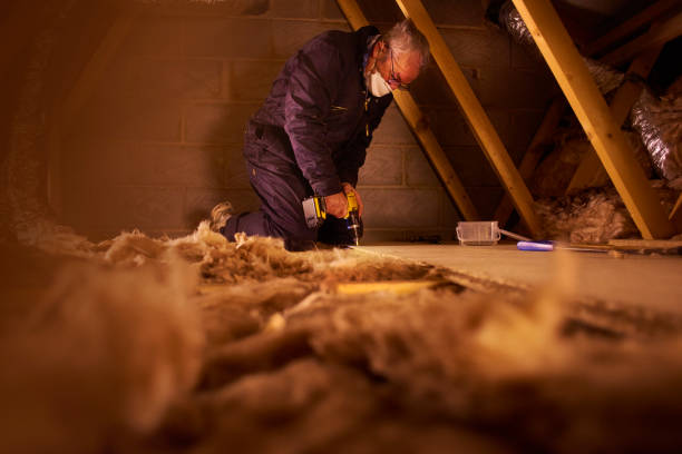 Best Fiberglass Insulation in Ridgewood, IL